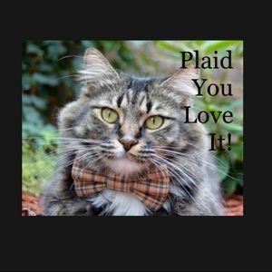 Can't Get Enough Plaid? I Got You Covered!